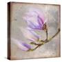 Magnolia on Silver Leaf I-Patricia Pinto-Stretched Canvas