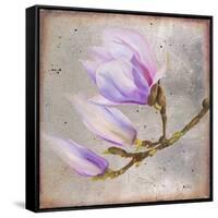 Magnolia on Silver Leaf I-Patricia Pinto-Framed Stretched Canvas