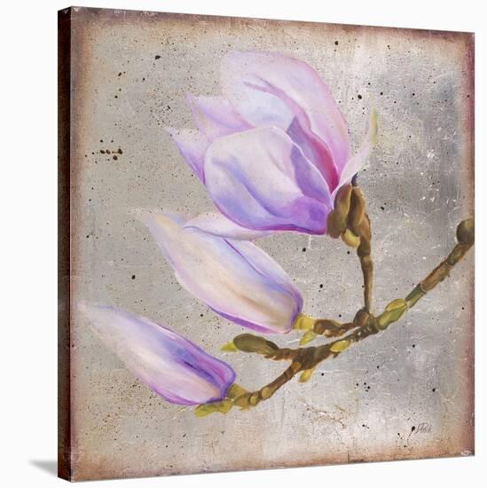 Magnolia on Silver Leaf I-Patricia Pinto-Stretched Canvas