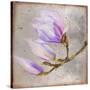 Magnolia on Silver Leaf I-Patricia Pinto-Stretched Canvas