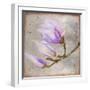 Magnolia on Silver Leaf I-Patricia Pinto-Framed Art Print