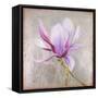 Magnolia on Silver Leaf II-Patricia Pinto-Framed Stretched Canvas