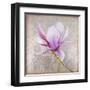 Magnolia on Silver Leaf II-Patricia Pinto-Framed Art Print