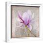 Magnolia on Silver Leaf II-Patricia Pinto-Framed Art Print