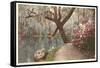 Magnolia on the Ashley, Charleston, South Carolina-null-Framed Stretched Canvas