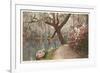 Magnolia on the Ashley, Charleston, South Carolina-null-Framed Art Print