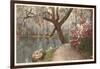 Magnolia on the Ashley, Charleston, South Carolina-null-Framed Art Print