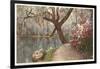 Magnolia on the Ashley, Charleston, South Carolina-null-Framed Art Print