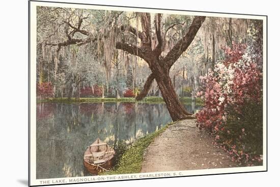 Magnolia on the Ashley, Charleston, South Carolina-null-Mounted Premium Giclee Print