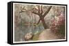 Magnolia on the Ashley, Charleston, South Carolina-null-Framed Stretched Canvas