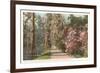 Magnolia on the Ashley, Charleston, South Carolina-null-Framed Premium Giclee Print