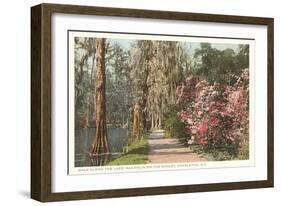 Magnolia on the Ashley, Charleston, South Carolina-null-Framed Art Print