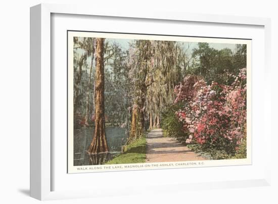 Magnolia on the Ashley, Charleston, South Carolina-null-Framed Art Print