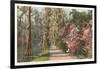 Magnolia on the Ashley, Charleston, South Carolina-null-Framed Art Print