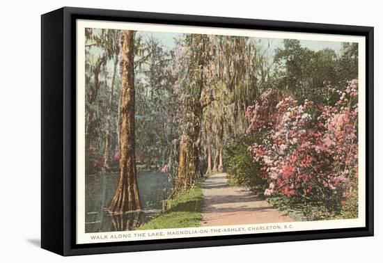 Magnolia on the Ashley, Charleston, South Carolina-null-Framed Stretched Canvas
