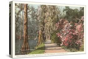 Magnolia on the Ashley, Charleston, South Carolina-null-Stretched Canvas