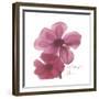 Magnolia Pair-Albert Koetsier-Framed Premium Giclee Print