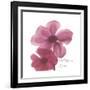 Magnolia Pair-Albert Koetsier-Framed Premium Giclee Print