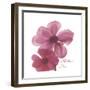 Magnolia Pair-Albert Koetsier-Framed Premium Giclee Print