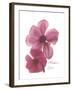 Magnolia Pair-Albert Koetsier-Framed Premium Giclee Print