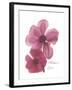 Magnolia Pair-Albert Koetsier-Framed Premium Giclee Print