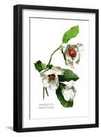 Magnolia Parviflora-H.g. Moon-Framed Art Print