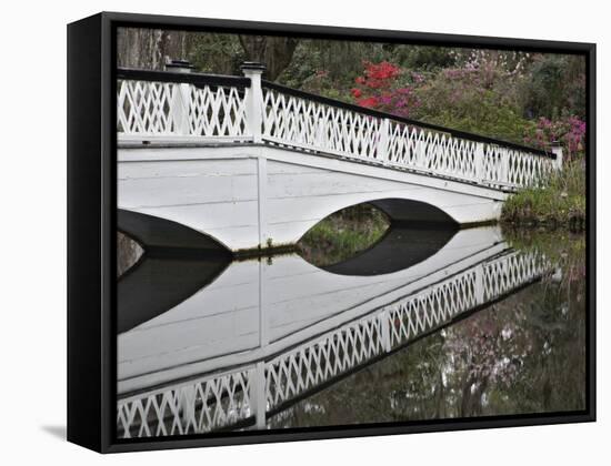 Magnolia Plantation, Charleston, South Carolina, USA-Adam Jones-Framed Stretched Canvas