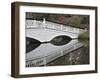 Magnolia Plantation, Charleston, South Carolina, USA-Adam Jones-Framed Photographic Print