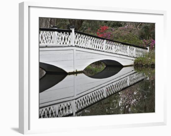 Magnolia Plantation, Charleston, South Carolina, USA-Adam Jones-Framed Photographic Print