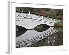 Magnolia Plantation, Charleston, South Carolina, USA-Adam Jones-Framed Photographic Print