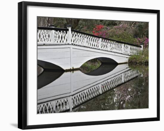 Magnolia Plantation, Charleston, South Carolina, USA-Adam Jones-Framed Photographic Print