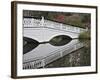 Magnolia Plantation, Charleston, South Carolina, USA-Adam Jones-Framed Photographic Print