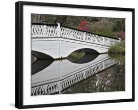 Magnolia Plantation, Charleston, South Carolina, USA-Adam Jones-Framed Photographic Print