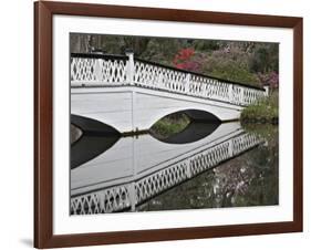 Magnolia Plantation, Charleston, South Carolina, USA-Adam Jones-Framed Photographic Print