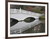 Magnolia Plantation, Charleston, South Carolina, USA-Adam Jones-Framed Photographic Print