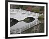 Magnolia Plantation, Charleston, South Carolina, USA-Adam Jones-Framed Photographic Print