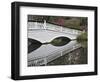 Magnolia Plantation, Charleston, South Carolina, USA-Adam Jones-Framed Photographic Print