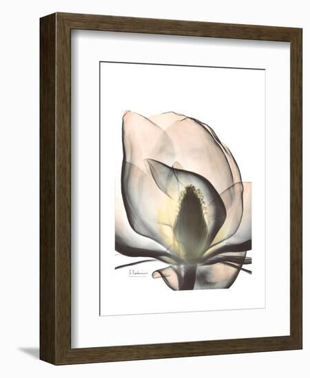 Magnolia Portrait-Albert Koetsier-Framed Premium Giclee Print