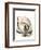 Magnolia Portrait-Albert Koetsier-Framed Premium Giclee Print
