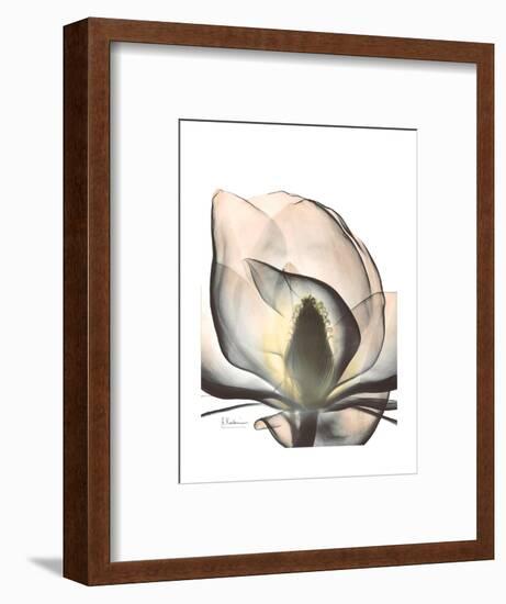 Magnolia Portrait-Albert Koetsier-Framed Premium Giclee Print