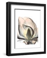 Magnolia Portrait-Albert Koetsier-Framed Premium Giclee Print