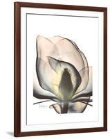 Magnolia Portrait-Albert Koetsier-Framed Premium Giclee Print