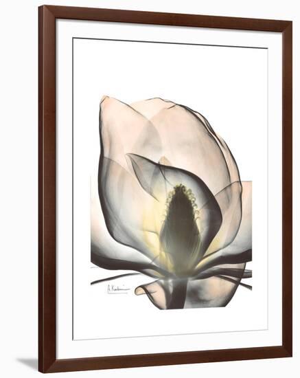 Magnolia Portrait-Albert Koetsier-Framed Premium Giclee Print