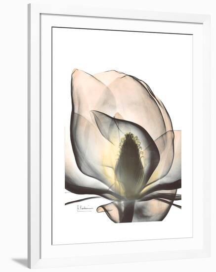 Magnolia Portrait-Albert Koetsier-Framed Premium Giclee Print