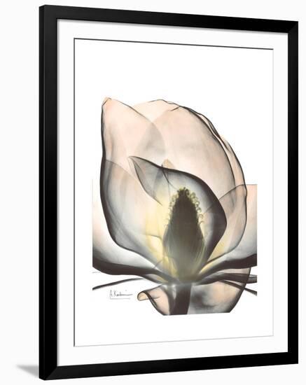 Magnolia Portrait-Albert Koetsier-Framed Premium Giclee Print