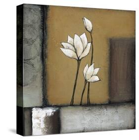 Magnolia Rustique I-H Alves-Stretched Canvas