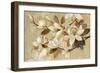 Magnolia Simplicity-Silvia Vassileva-Framed Premium Giclee Print