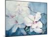 Magnolia Soulangeana (Horizontal)-Karen Armitage-Mounted Giclee Print