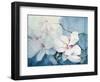 Magnolia Soulangeana (Horizontal)-Karen Armitage-Framed Giclee Print