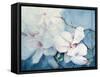 Magnolia Soulangeana (Horizontal)-Karen Armitage-Framed Stretched Canvas